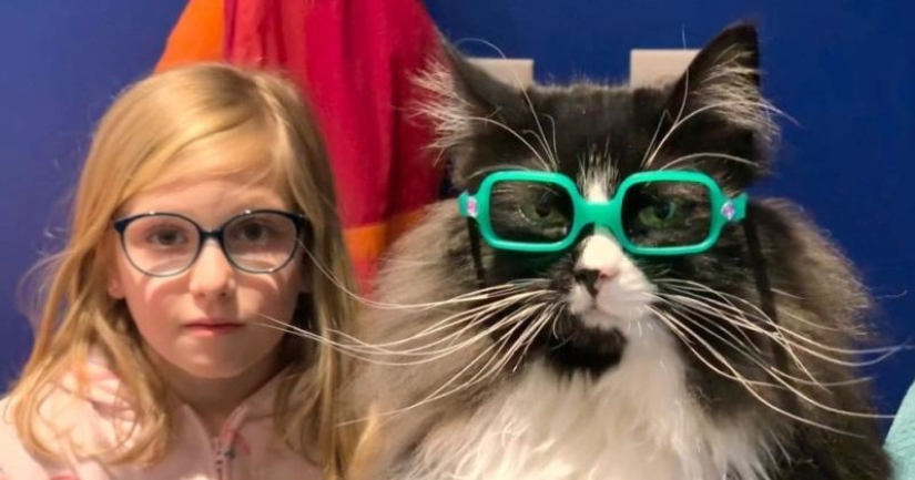 Mistress optics took in the cat, which advertises glasses...