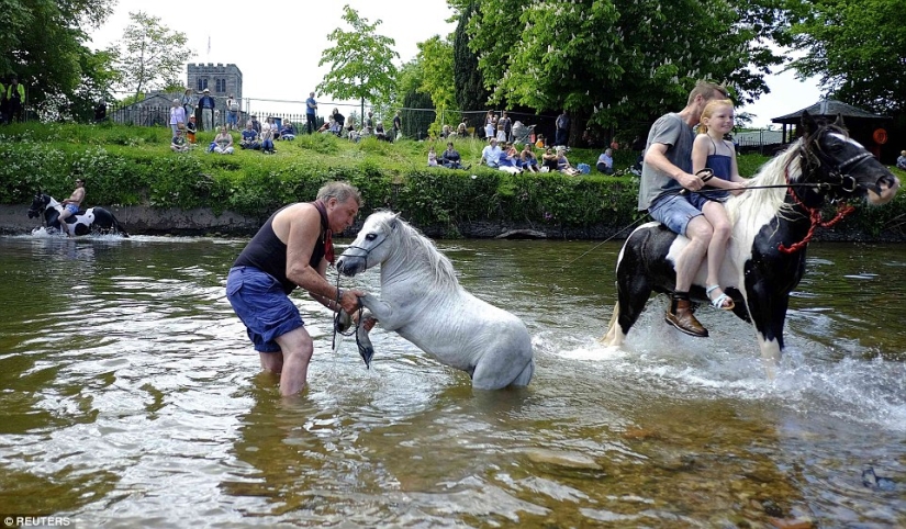 Mixed up in a bunch of horses, people: what thousands of gypsies are doing at the Appleby Horse Fair