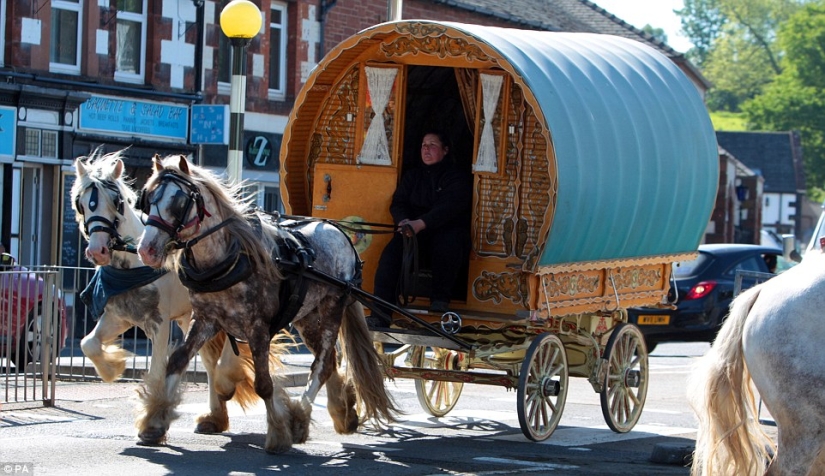 Mixed up in a bunch of horses, people: what thousands of gypsies are doing at the Appleby Horse Fair
