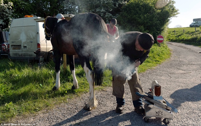 Mixed up in a bunch of horses, people: what thousands of gypsies are doing at the Appleby Horse Fair