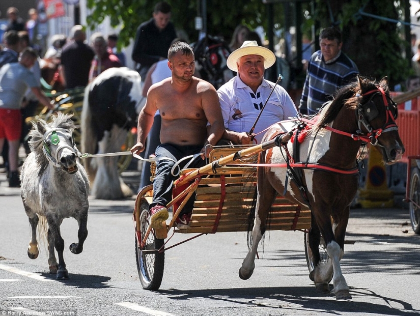 Mixed up in a bunch of horses, people: what thousands of gypsies are doing at the Appleby Horse Fair
