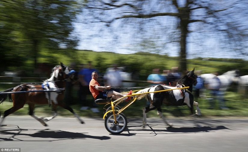 Mixed up in a bunch of horses, people: what thousands of gypsies are doing at the Appleby Horse Fair