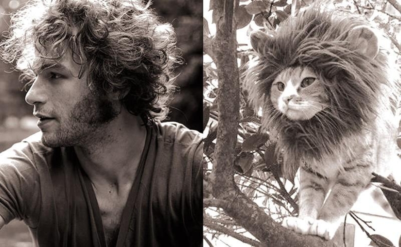 modelos vs gatos modelos vs gatos