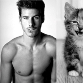 Models vs Cats