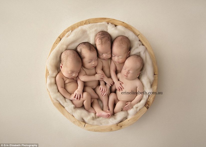 Mom of adorable quintuplets from Australia shared their first photoshoot Mom of adorable quintuplets from Australia shared their first photoshoot