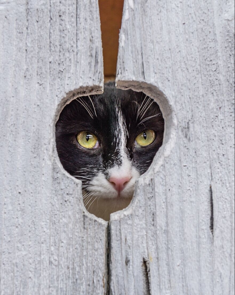 “Momentos enmarcados”: 14 fotos que tomé