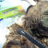 momia de 900 años de la "Princesa Polar" fue desenterrada en Siberia