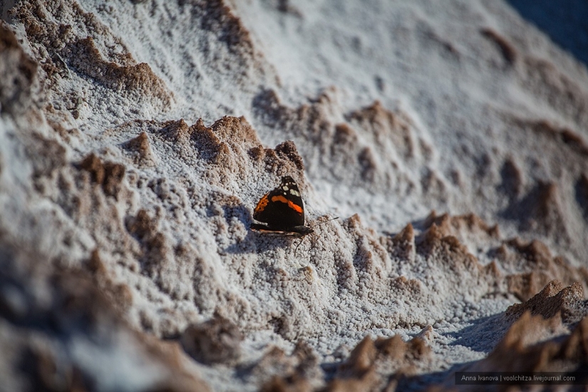 Montones de desechos. Montañas Soligorsk. Paisajes espaciales de Bielorrusia Montones de desechos. Montañas Soligorsk. Paisajes espaciales de Bielorrusia