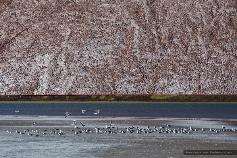 Montones de desechos. Montañas Soligorsk. Paisajes espaciales de Bielorrusia Montones de desechos. Montañas Soligorsk. Paisajes espaciales de Bielorrusia