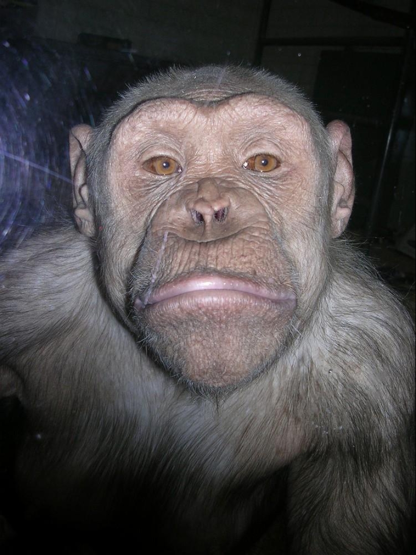 Mordahi... y no solo Mordahi... y no solo