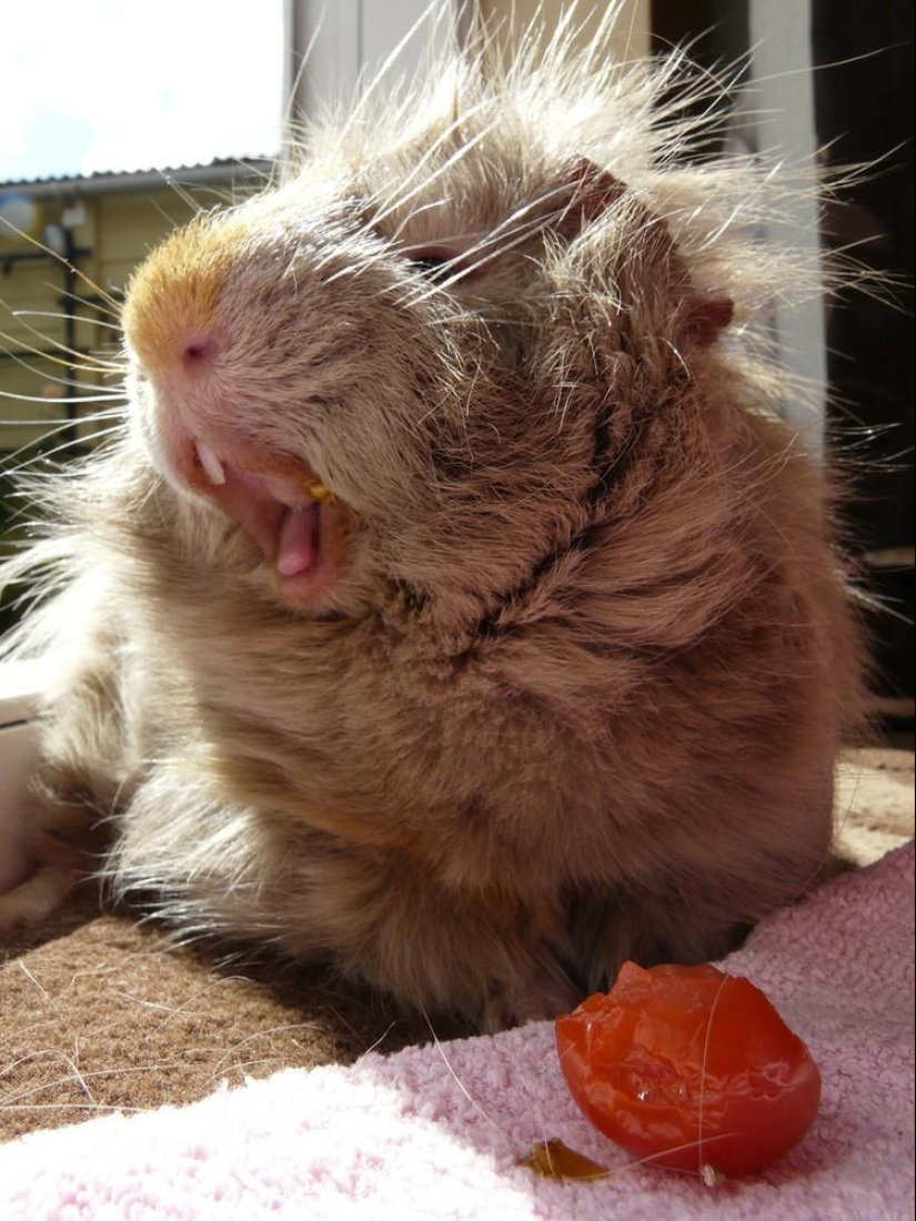 Mordahi... y no solo Mordahi... y no solo