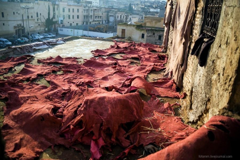 Morocco: Fes Leather Workshops