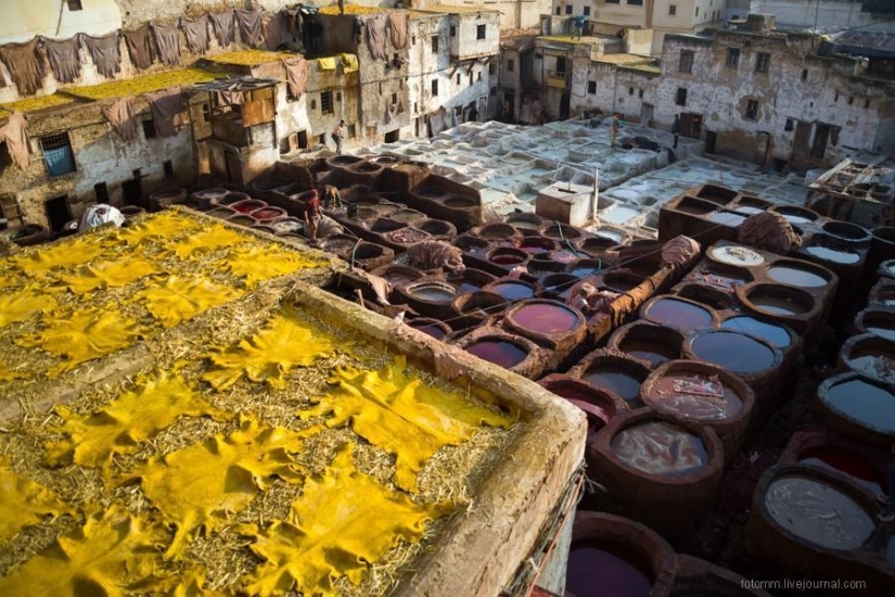 Morocco: Fes Leather Workshops