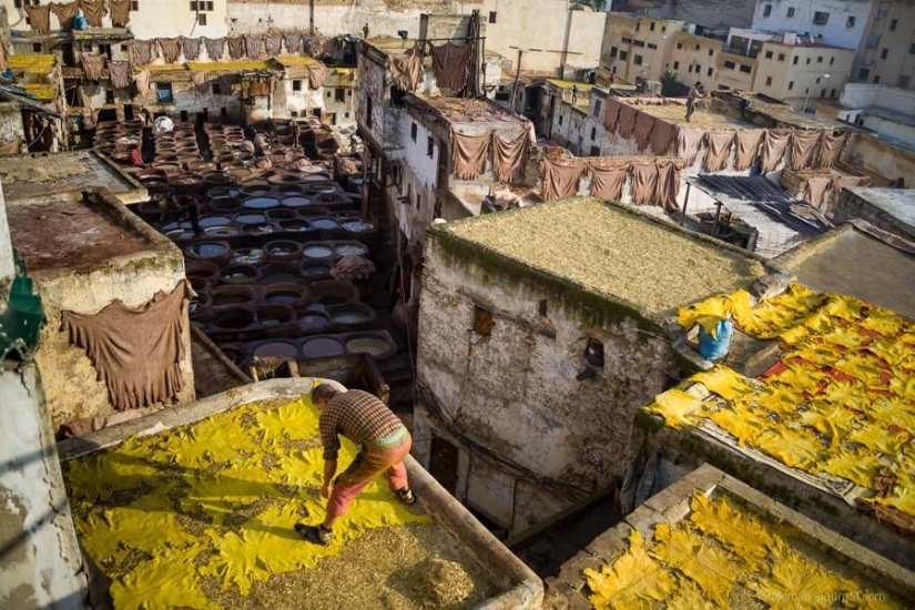 Morocco: Fes Leather Workshops