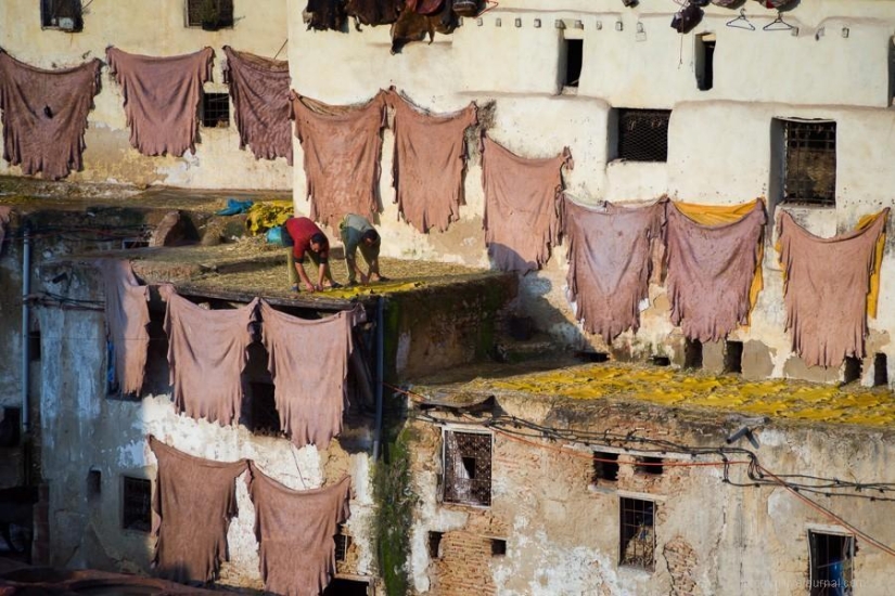 Morocco: Fes Leather Workshops