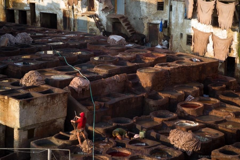 Morocco: Fes Leather Workshops