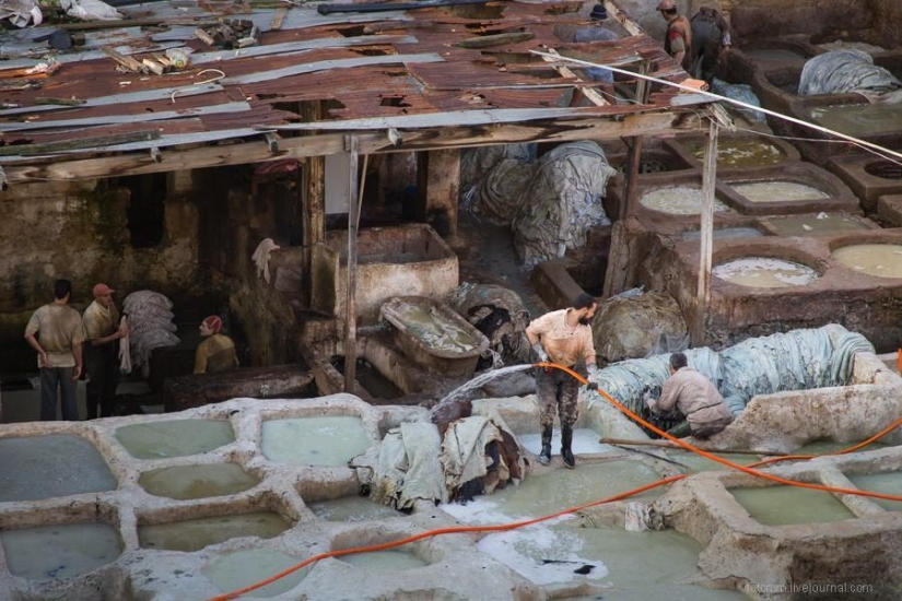 Morocco: Fes Leather Workshops