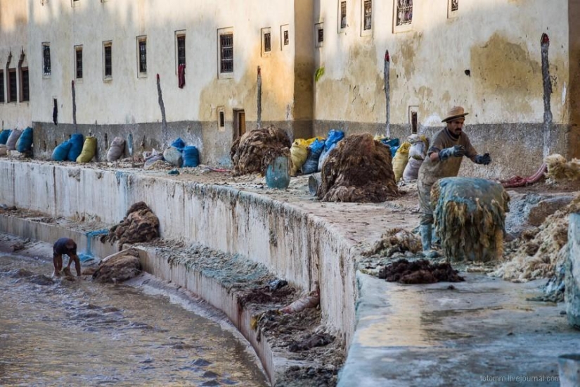 Morocco: Fes Leather Workshops