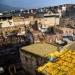 Morocco: Fes Leather Workshops