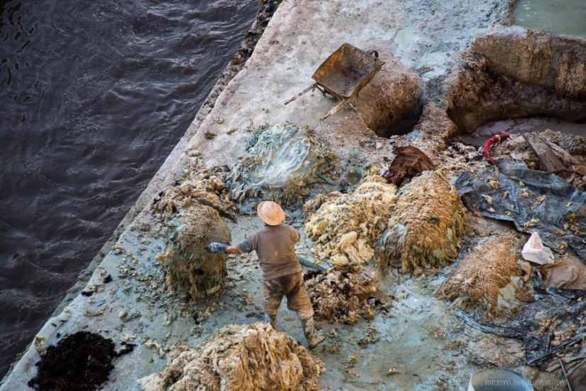 Morocco: Fes Leather Workshops