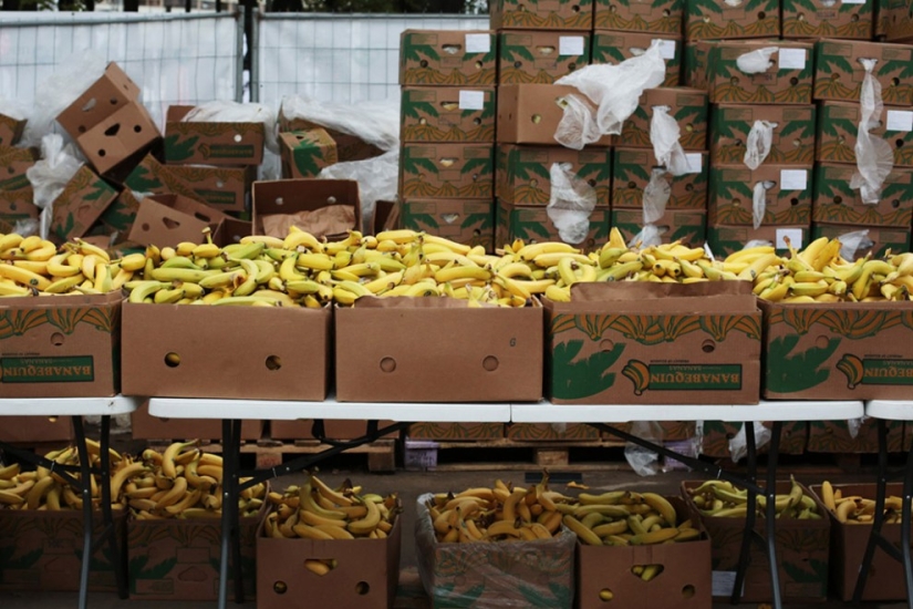 Moscow running: all the characters of the Moscow Marathon