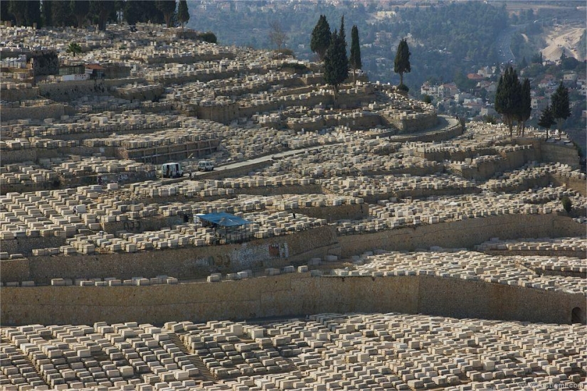 Mountain of the Lost