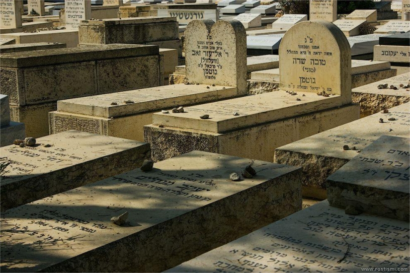 Mountain of the Lost