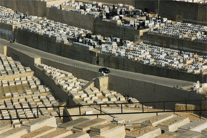 Mountain of the Lost