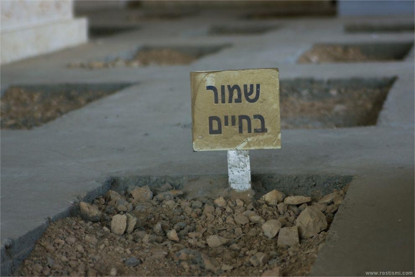 Mountain of the Lost