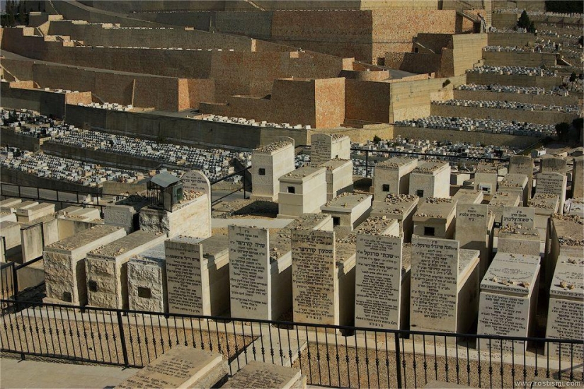 Mountain of the Lost