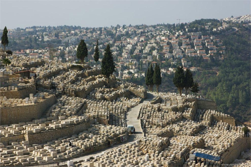 Mountain of the Lost