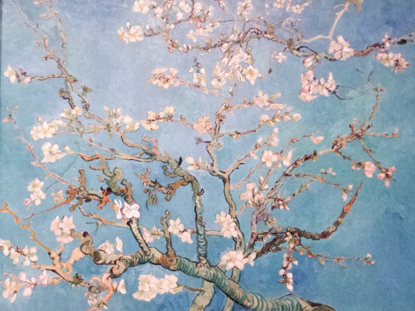 Ámsterdam en números y fotos