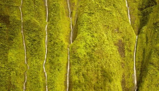 Muro de lágrimas: Honokohau Falls en Hawái