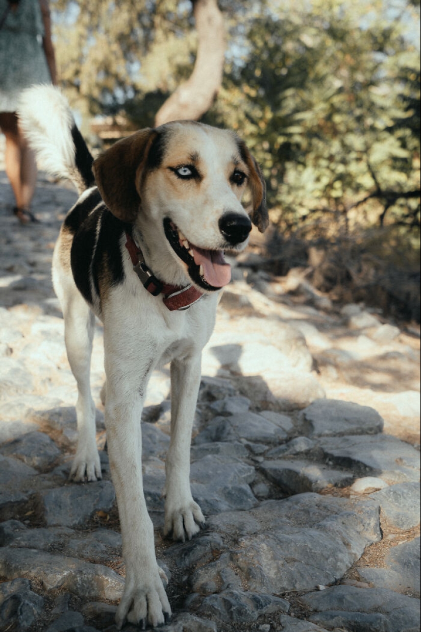 My 17 Photographs Of The Beautiful Greek Island Of Rhodes My 17 Photographs Of The Beautiful Greek Island Of Rhodes