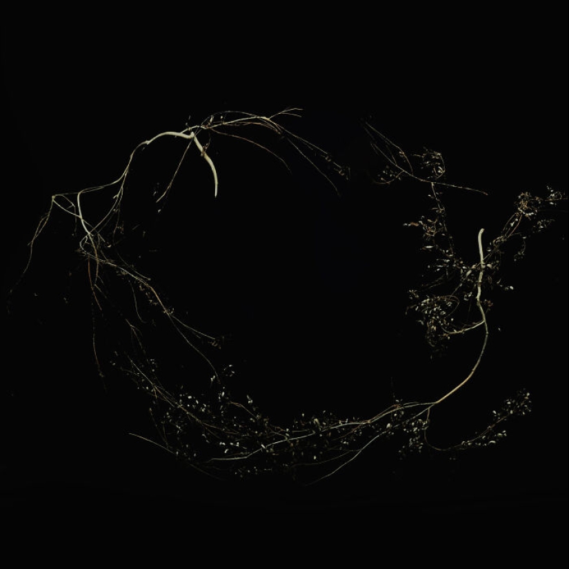 My Friend And I Created A Mini Photography Series About Embracing Loss And Renewal