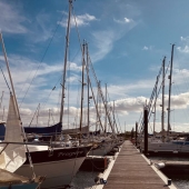 My Phone Photography Tips