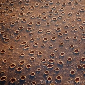 Mysterious circles in Namibia