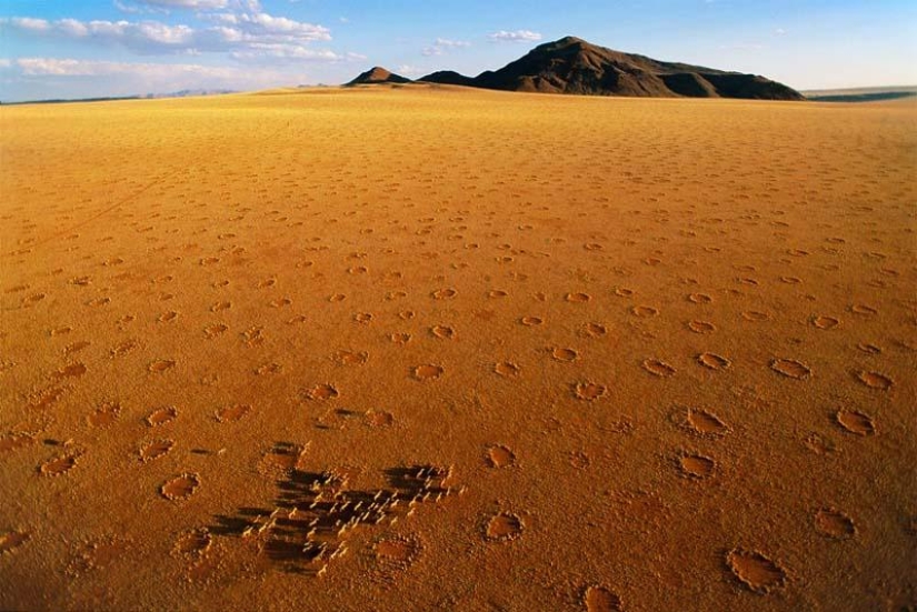 Mysterious circles in Namibia Mysterious circles in Namibia