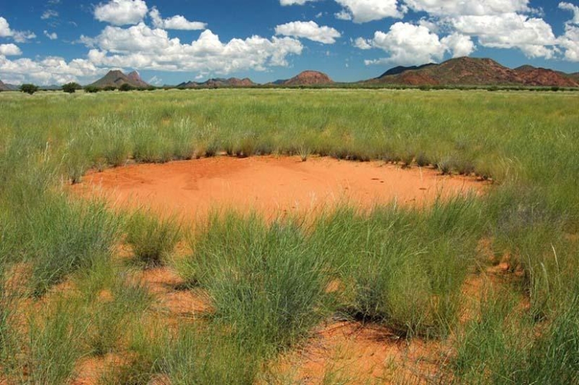 Mysterious circles in Namibia Mysterious circles in Namibia