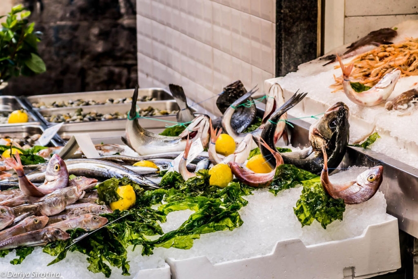 Naples. Italy. Naples. Italy.