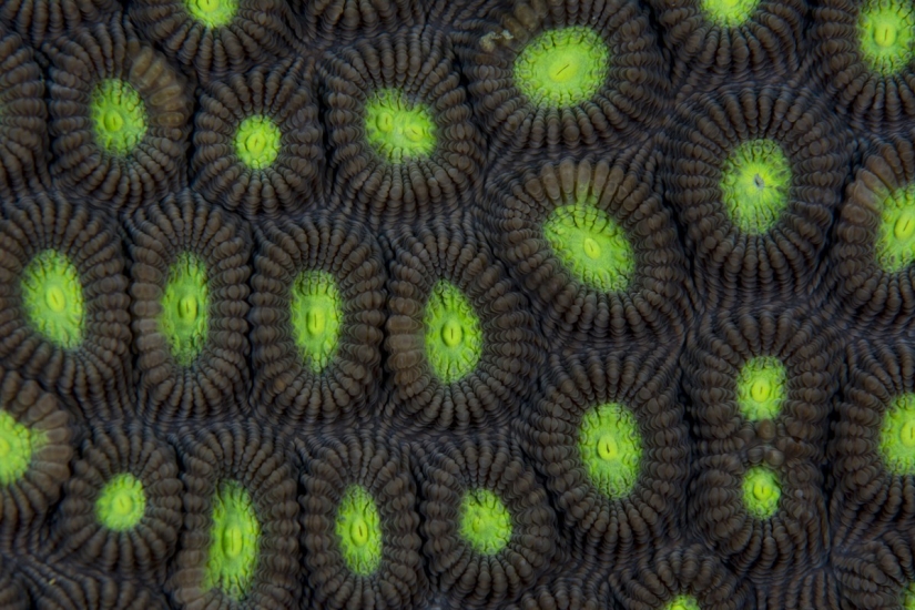 National Geographic Photo Contest 2013