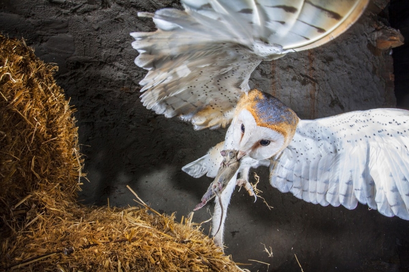 National Geographic Photo Contest 2013