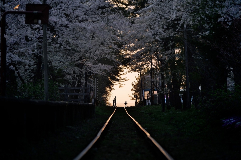 National Geographic Photo Contest 2013