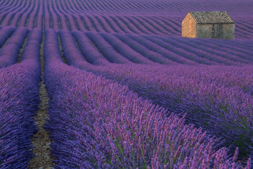 National Geographic Photo Contest 2013