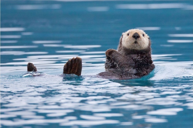 National Geographic's Best Shots of the Year National Geographic's Best Shots of the Year