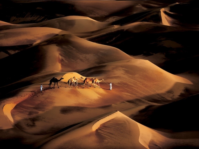 National Geographic's Best Shots of the Year National Geographic's Best Shots of the Year