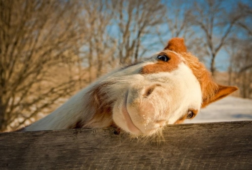 National Geographic's Best Shots of the Year National Geographic's Best Shots of the Year