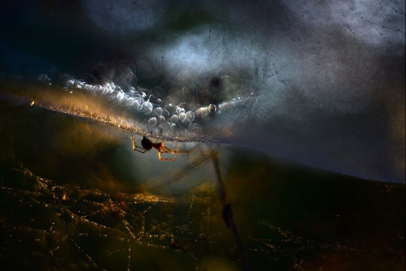 Naturaleza en primavera, verano y otoño: mis 20 fotos mías