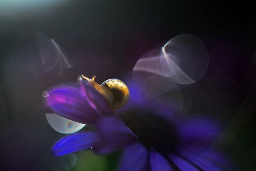 Naturaleza en primavera, verano y otoño: mis 20 fotos mías