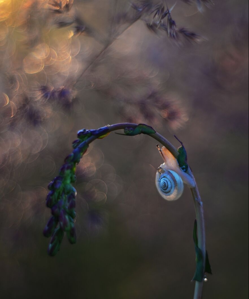 Nature In Spring, Summer, And Autumn: My 20 Photos By Me